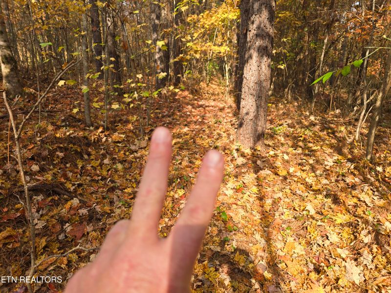 Lot 2 W Robbins Rd, Robbins, TN 37852