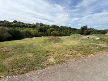 Lot 20 Ally Ln, Sevierville, TN 37876