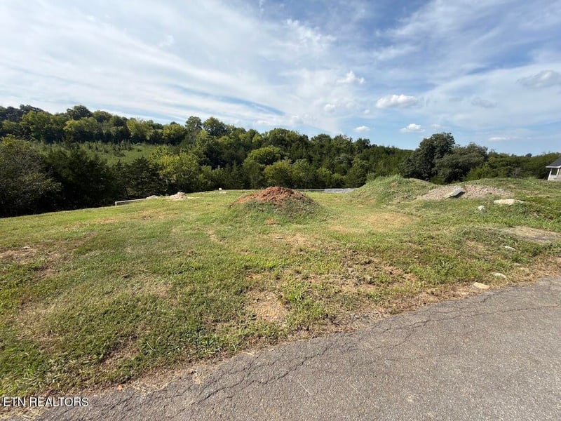 Lot 20 Ally Ln, Sevierville, TN 37876