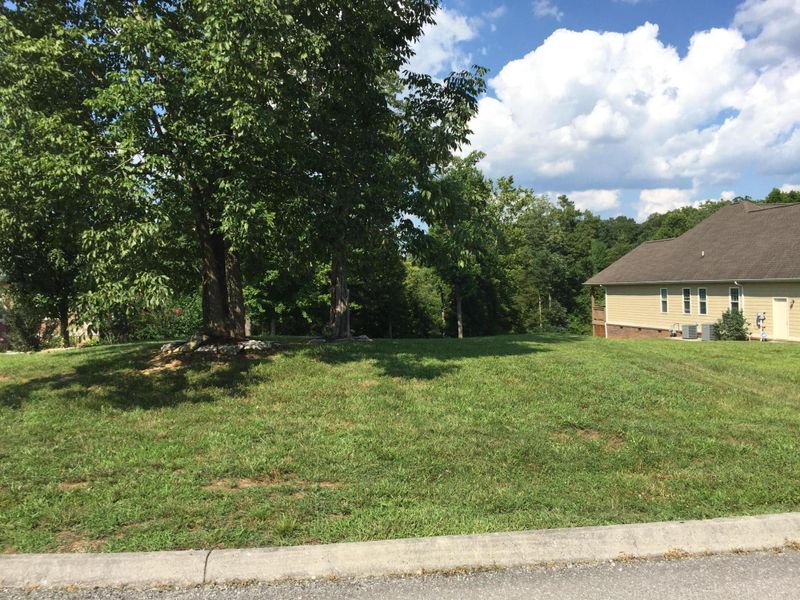 Lot 20 Paradise Ln, Jacksboro, TN 37757