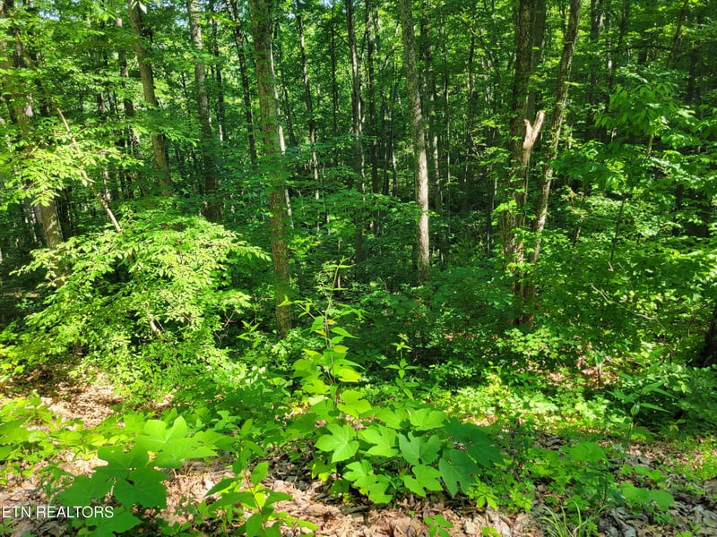 Lot 20 Sunset Dr, Sevierville, TN 37876