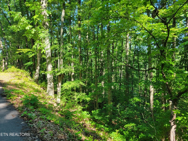 Lot 20 Sunset Dr, Sevierville, TN 37876