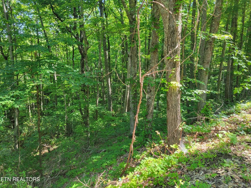 Lot 20 Sunset Dr, Sevierville, TN 37876