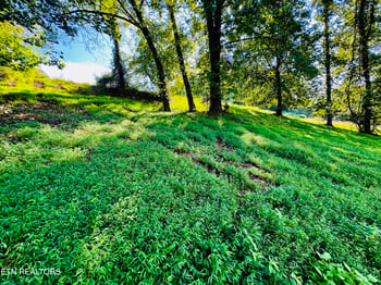 Lot 207 Clyde Ed Rd, Kodak, TN 37764