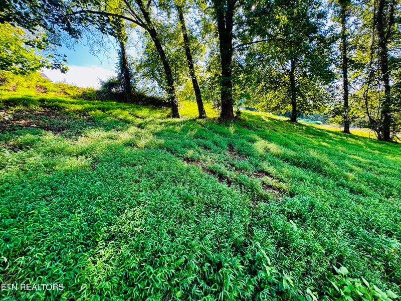 Lot 207 Clyde Ed Rd, Kodak, TN 37764