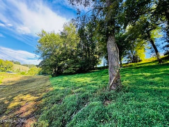 Lot 207 Clyde Ed Rd, Kodak, TN 37764