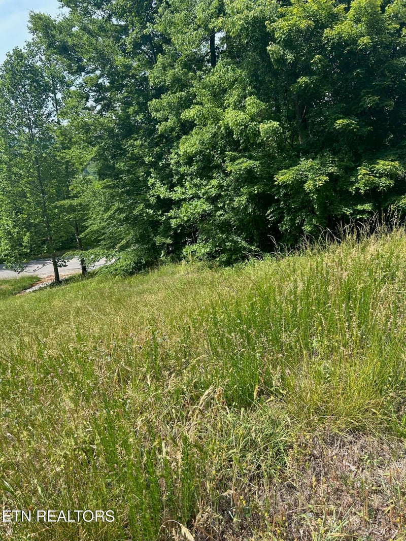 lot 214 Suncrest Cv, Lafollette, TN 37766