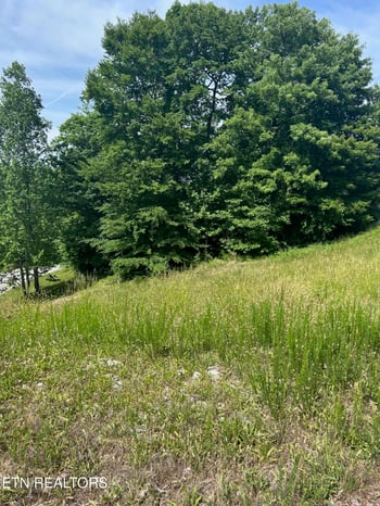 lot 214 Suncrest Cv, Lafollette, TN 37766