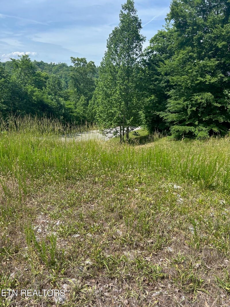 lot 214 Suncrest Cv, Lafollette, TN 37766