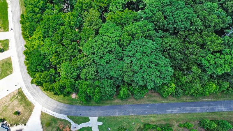 Lot 216 Reuben Ridge Rd, Rockwood, TN 37854