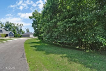 Lot 216 Reuben Ridge Rd, Rockwood, TN 37854