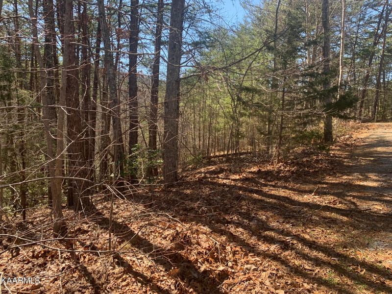 Lot 21B Chamberlain Ln, Sevierville, TN 37862