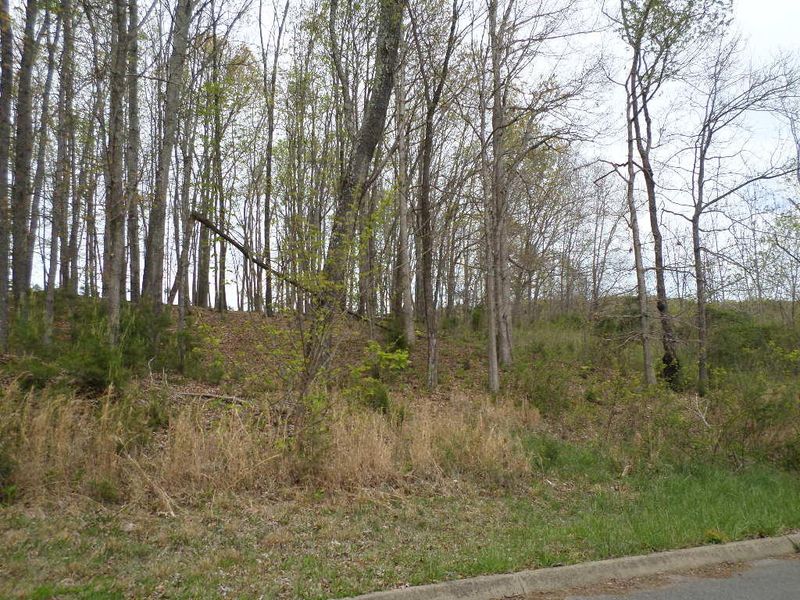 Lot 22 Catherine Crisp Way, Kodak, TN 37764