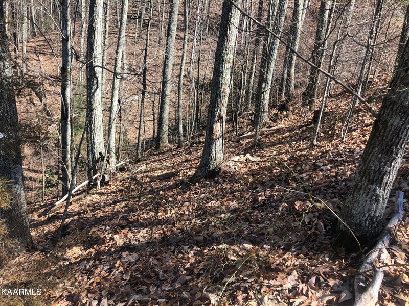 Lot 22 Eagle Point, Sevierville, TN 37876