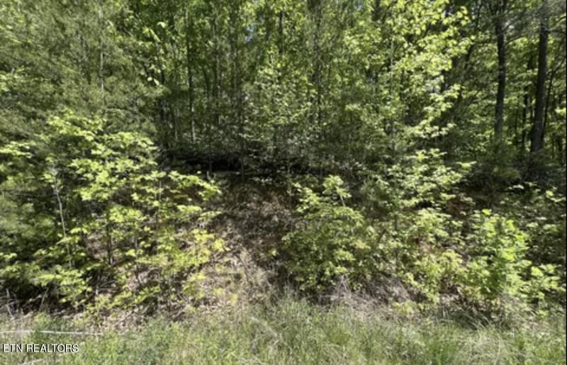 Lot 22 Green Meadows Dr, Sevierville, TN 37876
