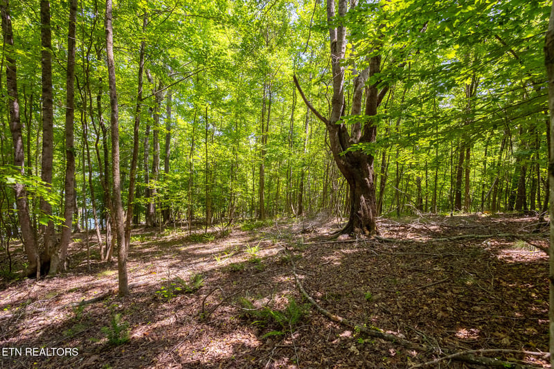 Lot 22 Indian Shadows Dr, Ten Mile, TN 37880
