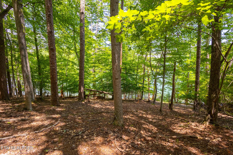Lot 22 Indian Shadows Dr, Ten Mile, TN 37880