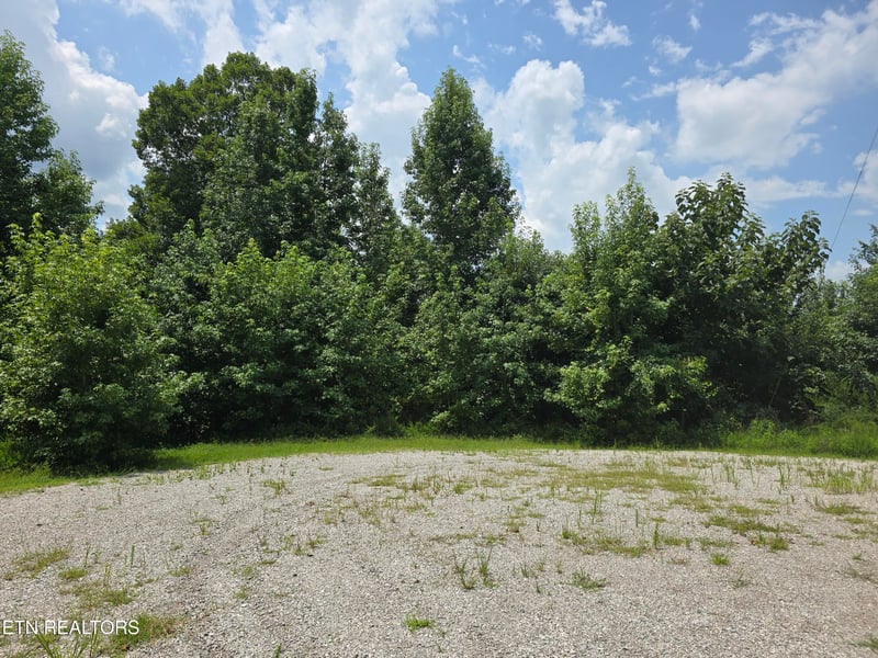 Lot 22 Twin Feathers Dr, Rockwood, TN 37854