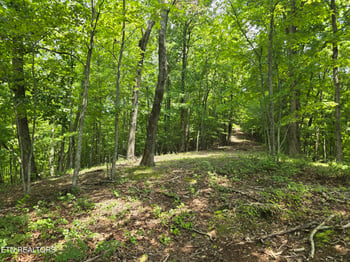 Lot 22 Twin Feathers Dr, Rockwood, TN 37854