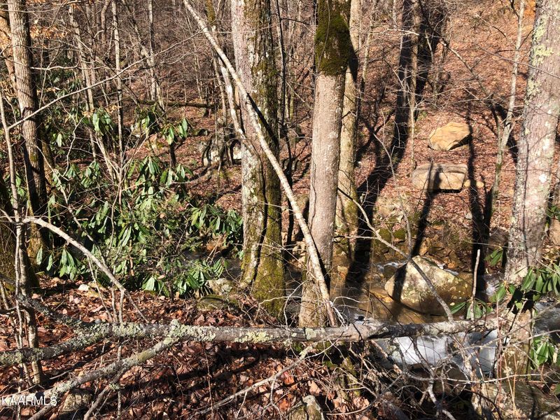 Lot 23 Alpine Dr, Sevierville, TN 37876