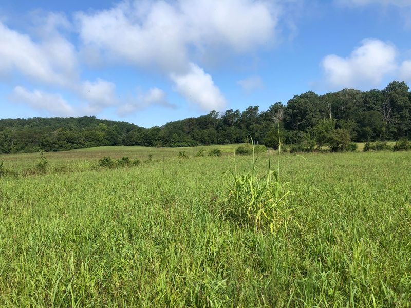 Lot 23 Caton St, Seymour, TN 37865