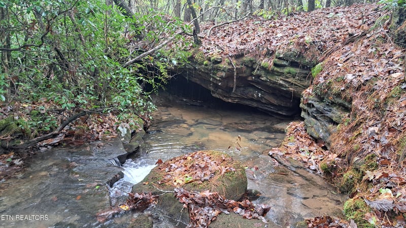 Lot 23 Cornerstone Dr, Rockwood, TN 37854