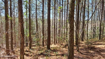 Lot 23 Cornerstone Dr, Rockwood, TN 37854