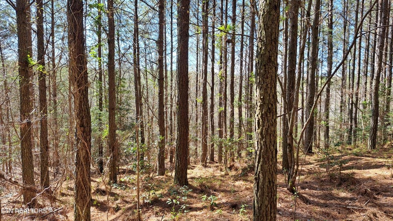 Lot 23 Cornerstone Dr, Rockwood, TN 37854