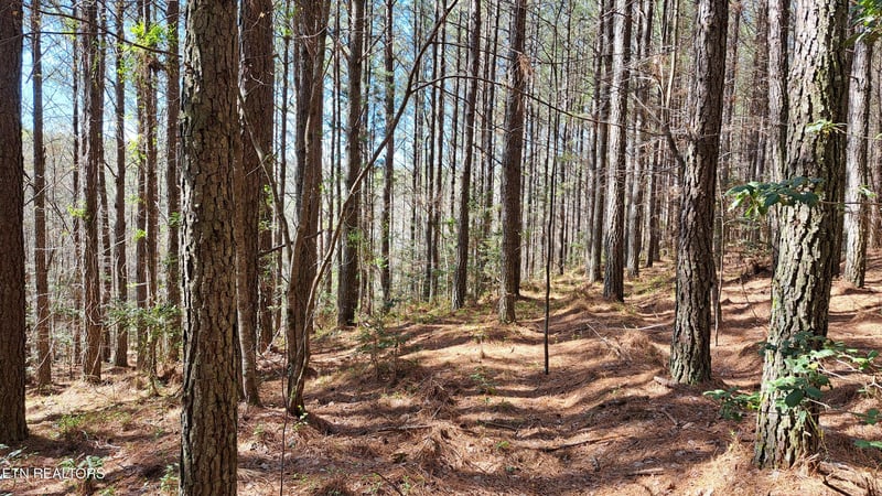 Lot 23 Cornerstone Dr, Rockwood, TN 37854