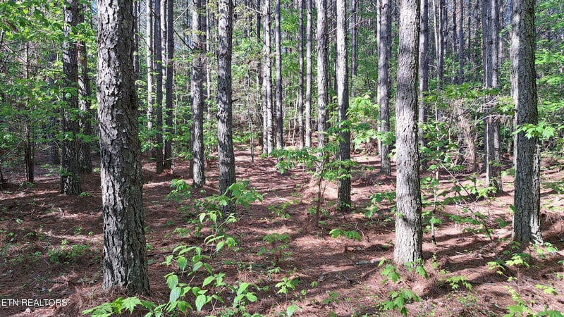 Lot 23 Cornerstone Dr, Rockwood, TN 37854