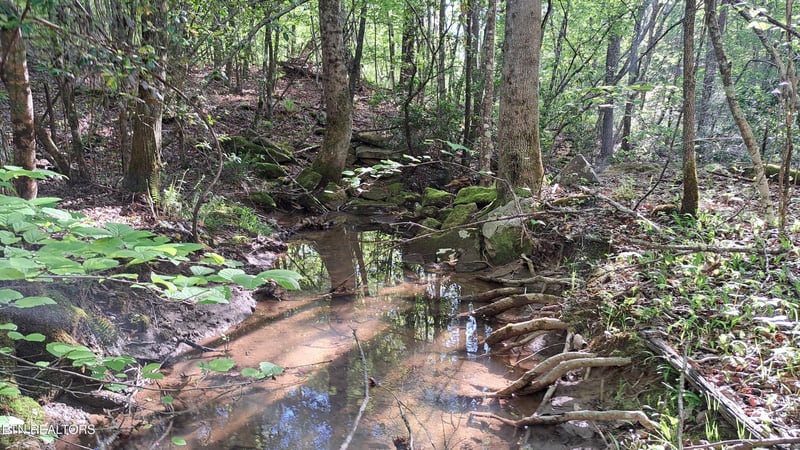 Lot 23 Cornerstone Dr, Rockwood, TN 37854
