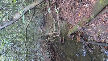 Lot 23 Cornerstone Dr, Rockwood, TN 37854