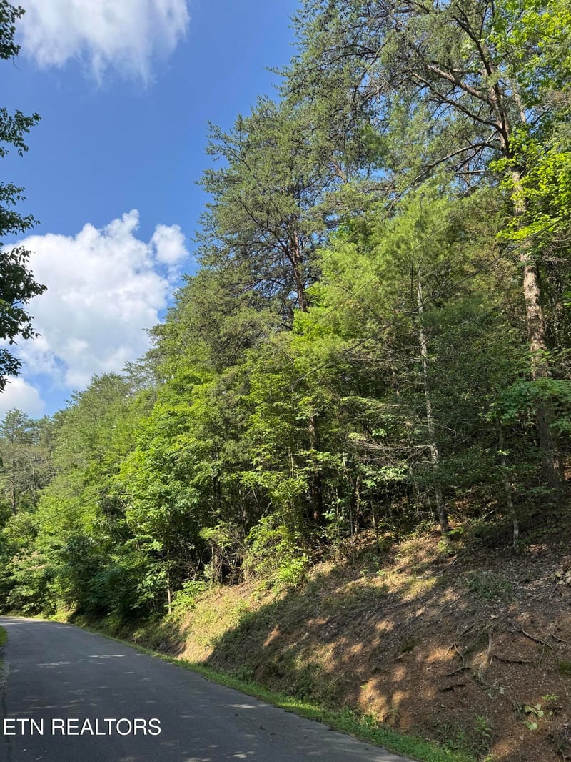 Lot 23 Walden Ridge Rd, Sevierville, TN 37862