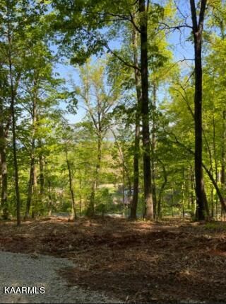 Lot 231R Sunset View Dr, Kingston, TN 37763