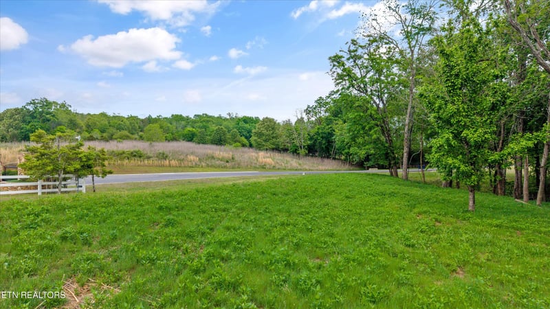 Lot 237 E Shore Dr, Rockwood, TN 37854