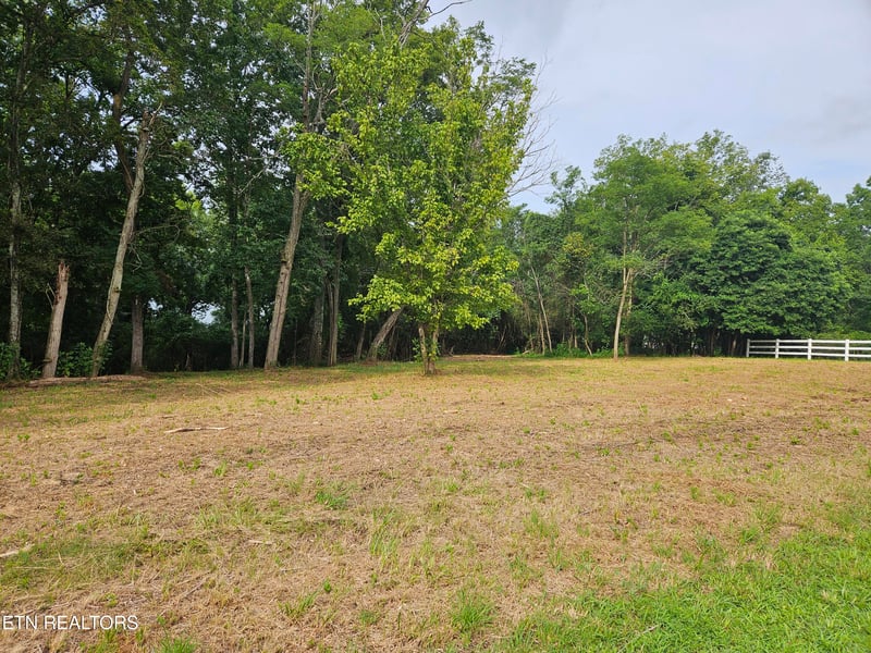 Lot 237 E Shore Dr, Rockwood, TN 37854