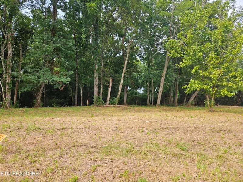 Lot 237 E Shore Dr, Rockwood, TN 37854