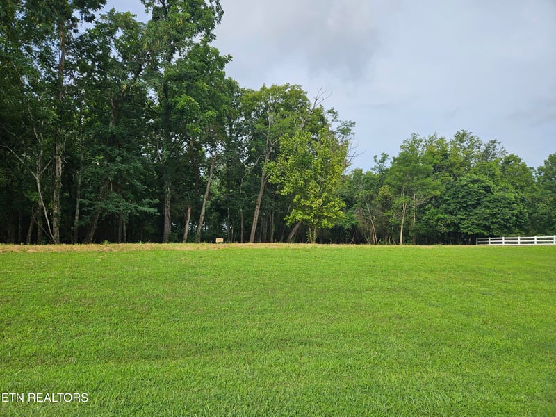 Lot 237 E Shore Dr, Rockwood, TN 37854
