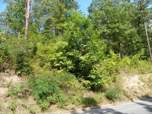 Lot 24 Bluff Ridge Rd, Sevierville, TN 37862