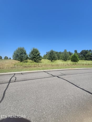 Lot 24 Docks Of The Bay Dr, Harriman, TN 37748