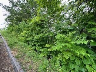 Lot 24 Grouse Ridge Ln, Sevierville, TN 37862