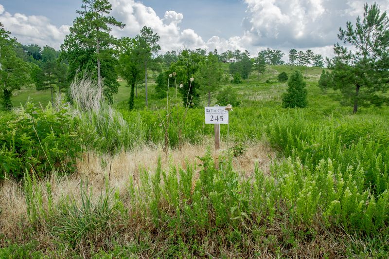 Lot 245 Lake Ferry Dr, Loudon, TN 37774