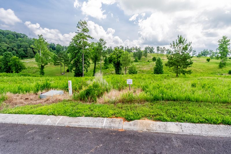 Lot 245 Lake Ferry Dr, Loudon, TN 37774
