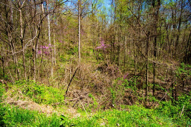 Lot 25-26 Campbell Highlands Dr, Pioneer, TN 37847