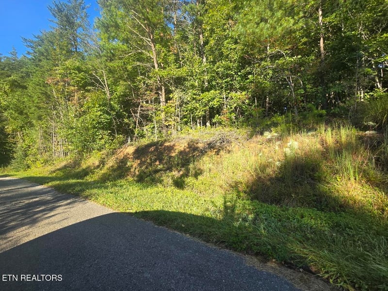 Lot 25-26 Summit Dr, Oneida, TN 37841