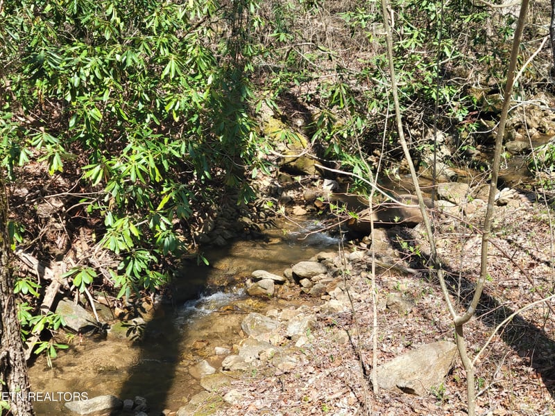 Lot 25 Alpine Dr, Sevierville, TN 37876