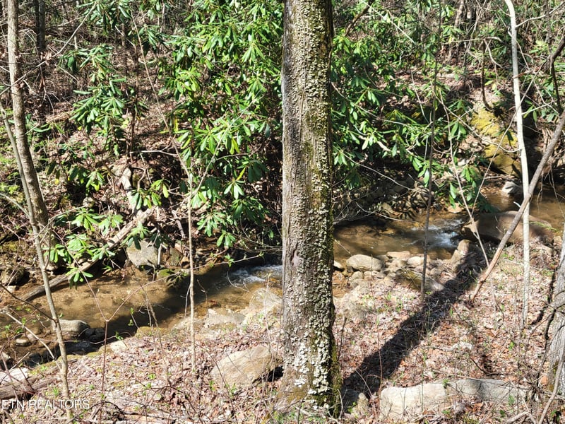 Lot 25 Alpine Dr, Sevierville, TN 37876