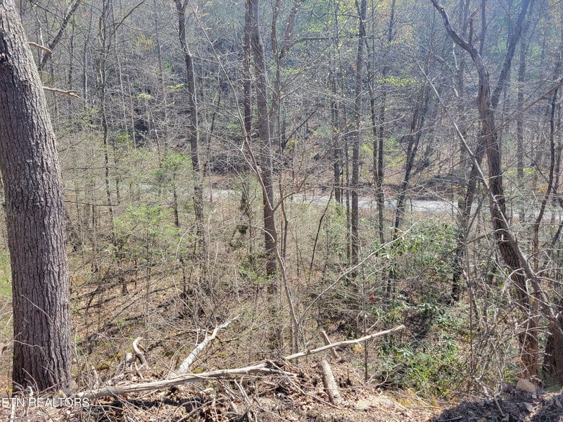 Lot 25 Alpine Dr, Sevierville, TN 37876