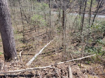 Lot 25 Alpine Dr, Sevierville, TN 37876