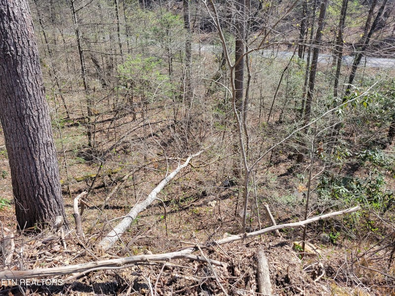 Lot 25 Alpine Dr, Sevierville, TN 37876